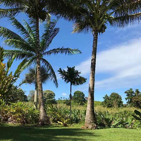 Island Goode'S - Luxury Adult Only Accommodation Near Hilo Papaikou Buitenkant foto