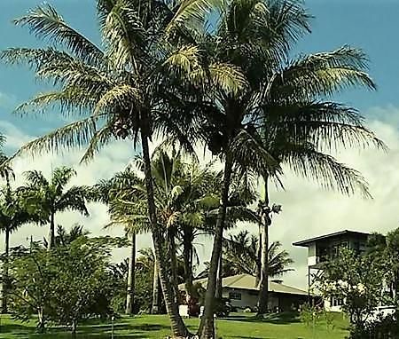 Island Goode'S - Luxury Adult Only Accommodation Near Hilo Papaikou Buitenkant foto