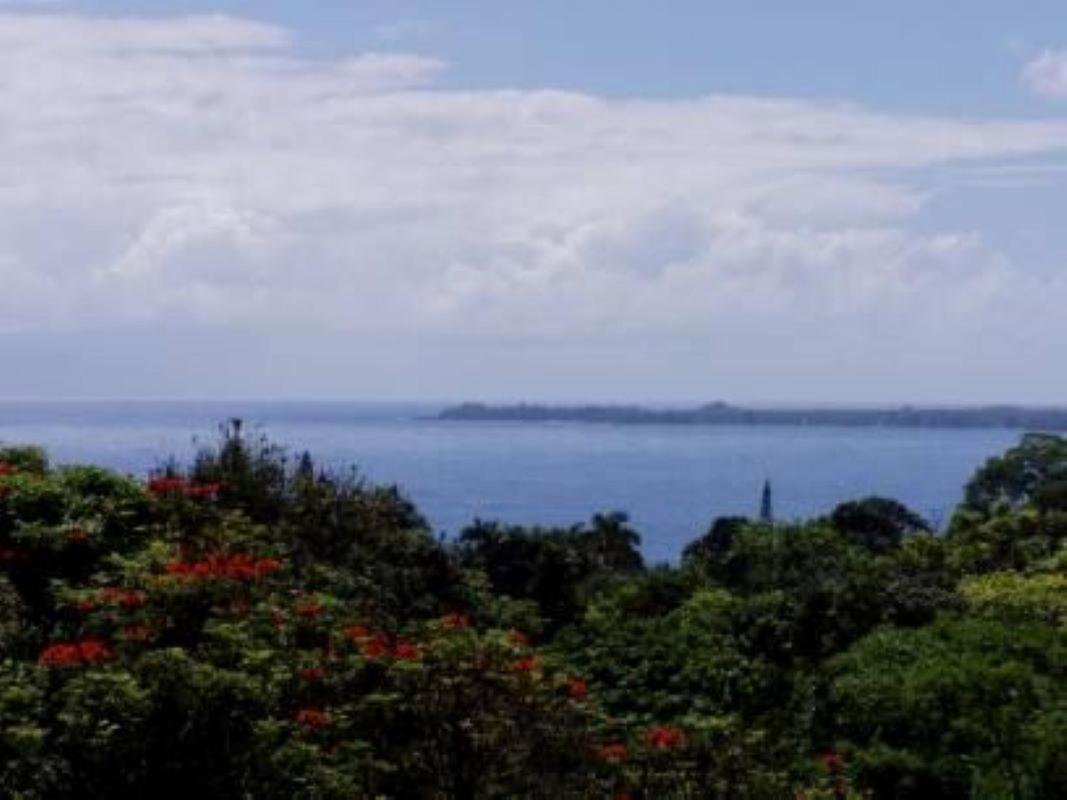 Island Goode'S - Luxury Adult Only Accommodation Near Hilo Papaikou Buitenkant foto