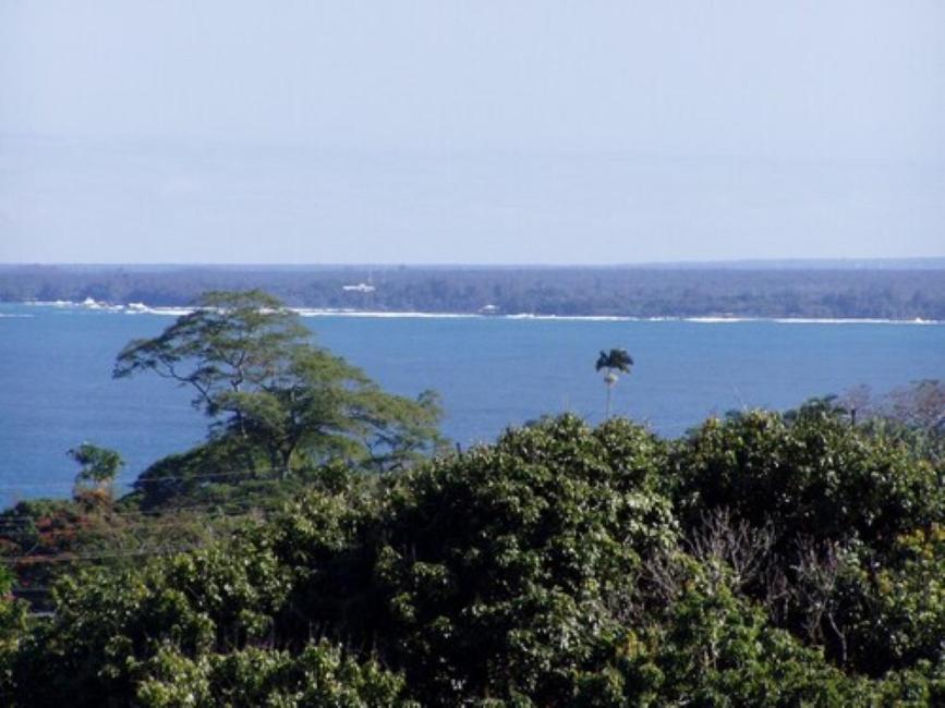 Island Goode'S - Luxury Adult Only Accommodation Near Hilo Papaikou Buitenkant foto
