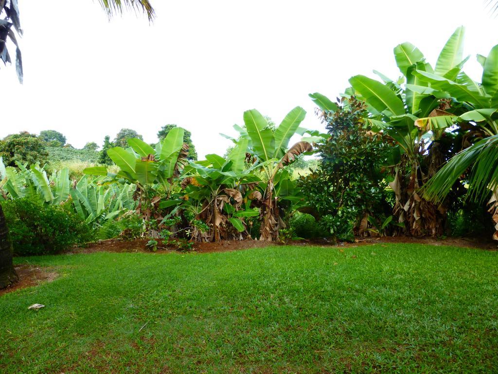 Island Goode'S - Luxury Adult Only Accommodation Near Hilo Papaikou Buitenkant foto