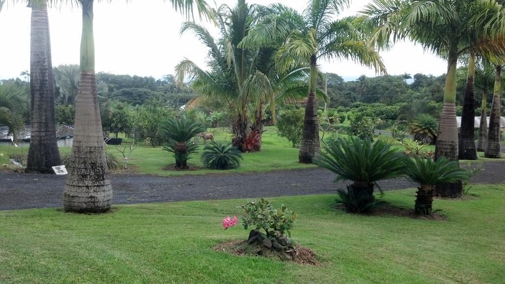 Island Goode'S - Luxury Adult Only Accommodation Near Hilo Papaikou Buitenkant foto