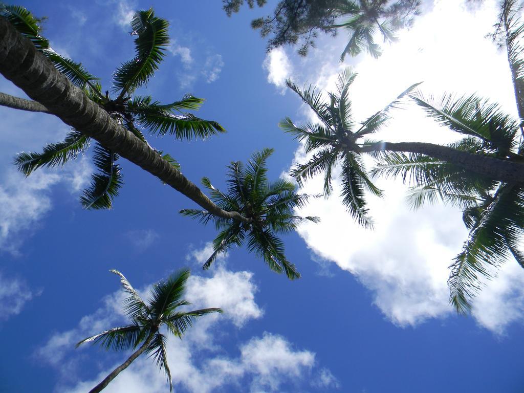 Island Goode'S - Luxury Adult Only Accommodation Near Hilo Papaikou Buitenkant foto