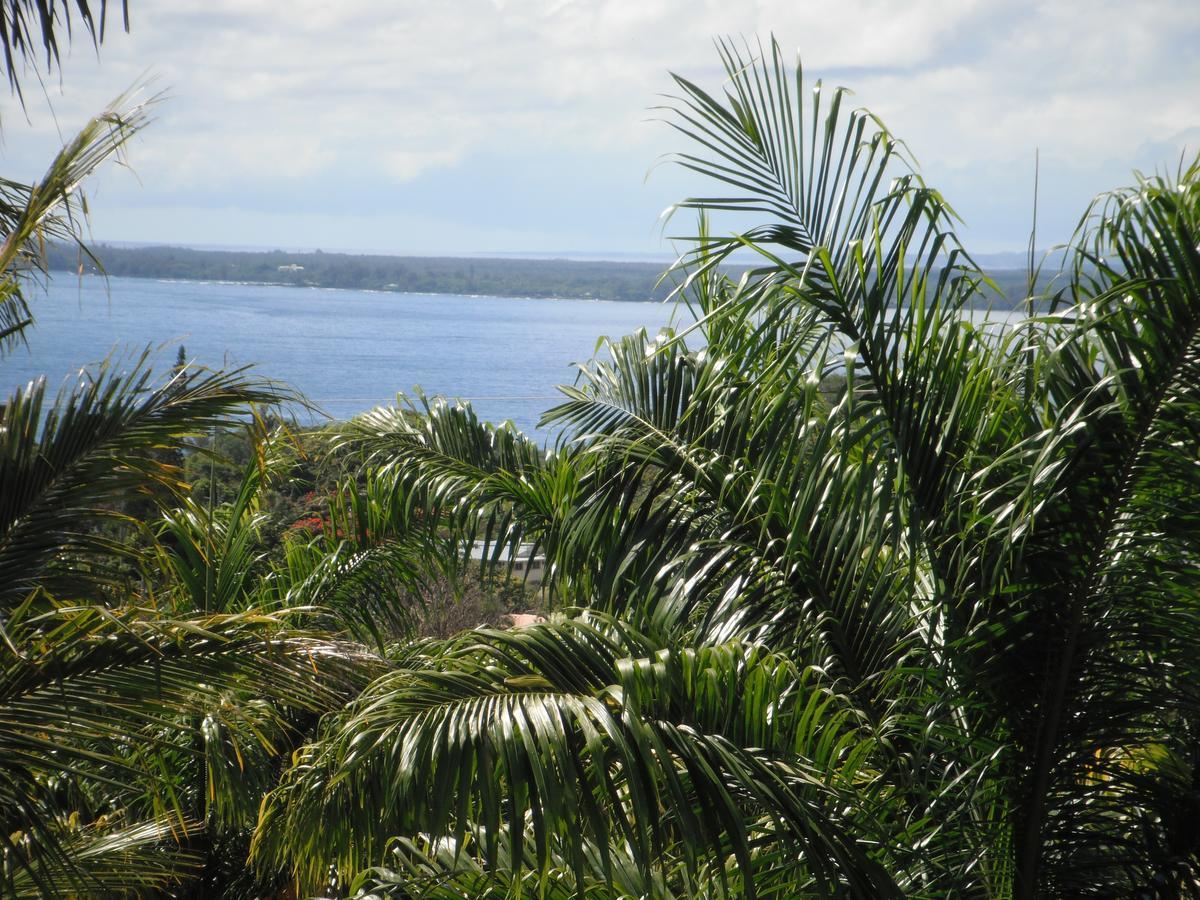 Island Goode'S - Luxury Adult Only Accommodation Near Hilo Papaikou Buitenkant foto