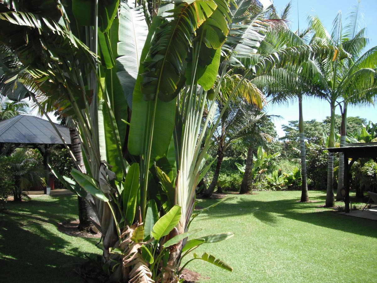 Island Goode'S - Luxury Adult Only Accommodation Near Hilo Papaikou Buitenkant foto