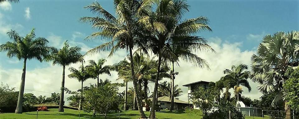 Island Goode'S - Luxury Adult Only Accommodation Near Hilo Papaikou Buitenkant foto